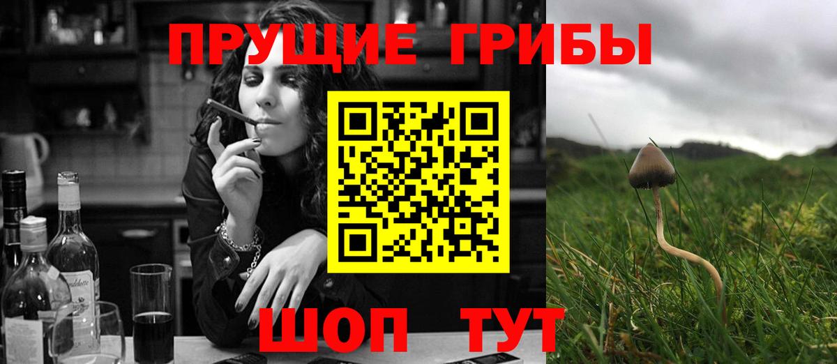 Галлюциногенные грибы Magic Shrooms  Вход с VPN  Галлюциногенные грибы Cubensis  Истра 
